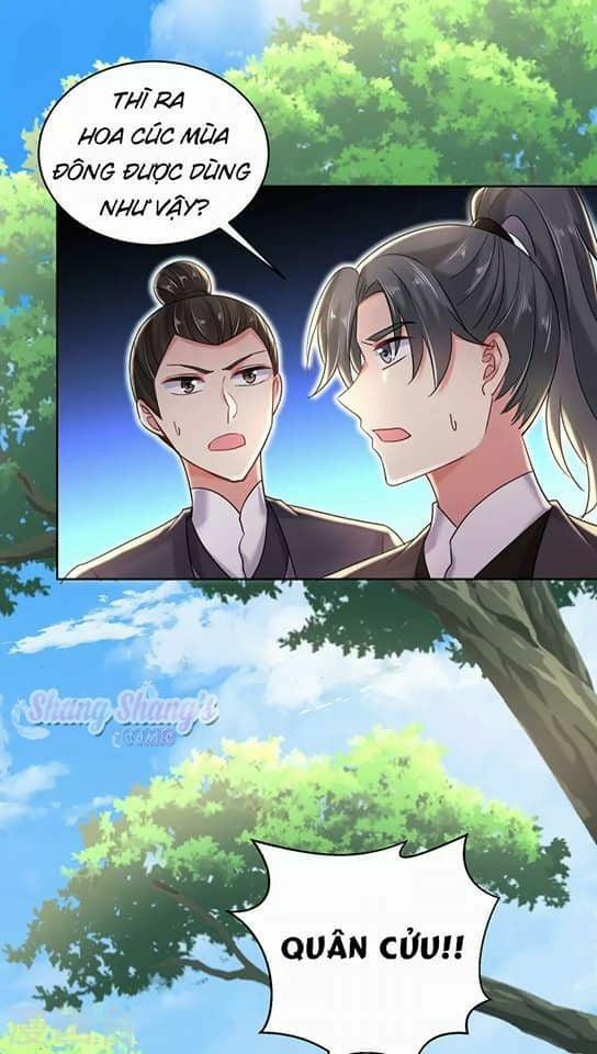 Ta Ở Dị Giới Nuôi Dưỡng Nam Thần: Thần Y Cửu Tiểu Thư 208 trang 17