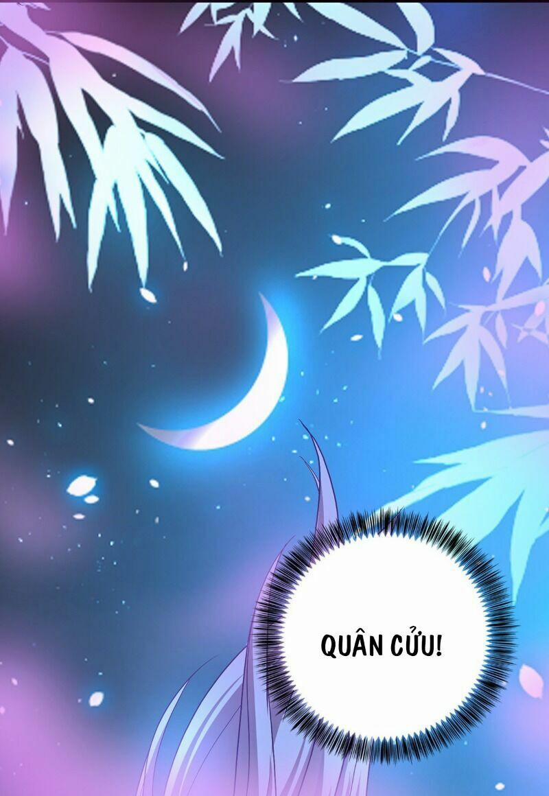 Ta Ở Dị Giới Nuôi Dưỡng Nam Thần: Thần Y Cửu Tiểu Thư 31 trang 24