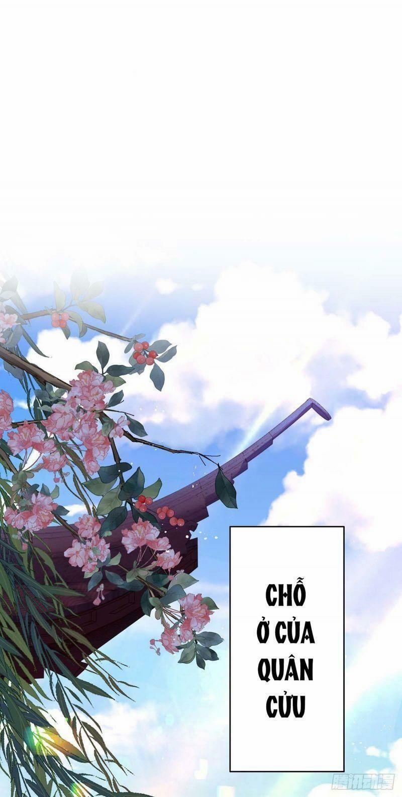 Ta Ở Dị Giới Nuôi Dưỡng Nam Thần: Thần Y Cửu Tiểu Thư 82 trang 19