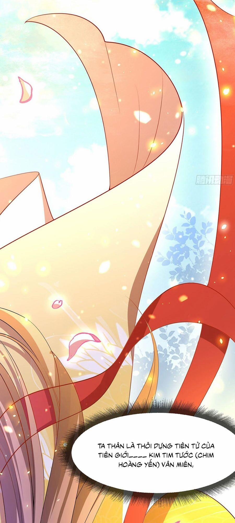 Ta Ở Hậu Cung Làm Lão Đại 1 trang 1