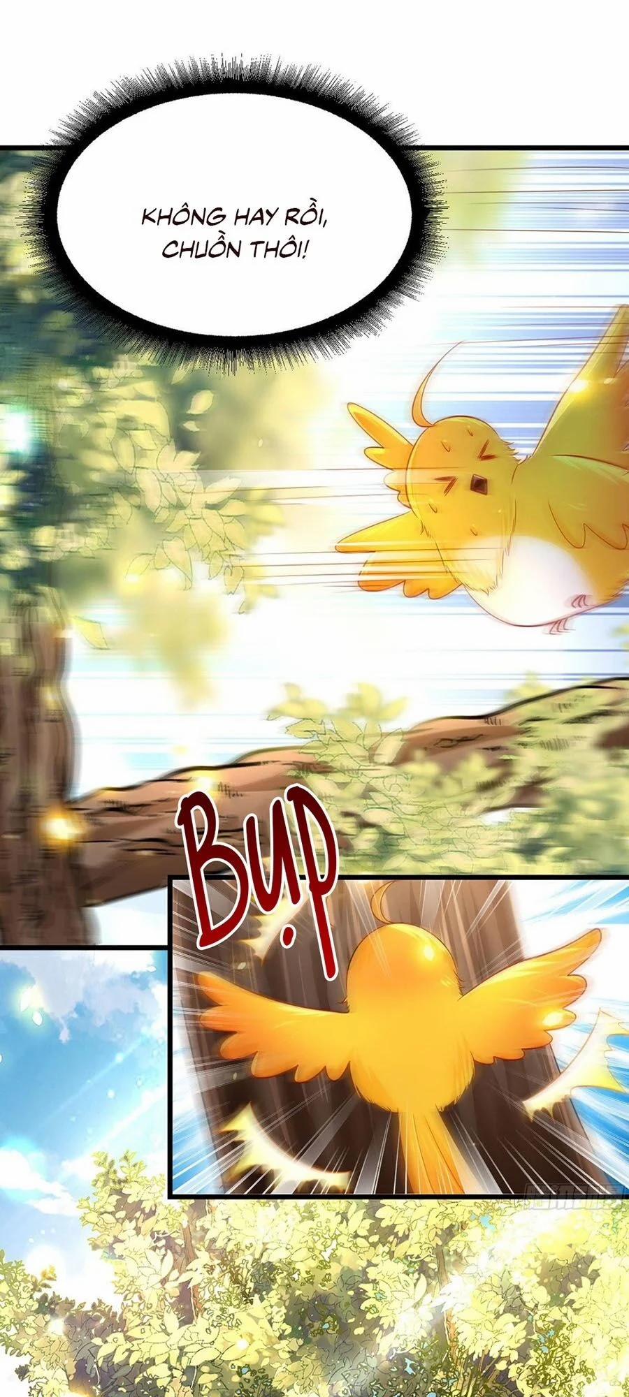 Ta Ở Hậu Cung Làm Lão Đại 1 trang 16