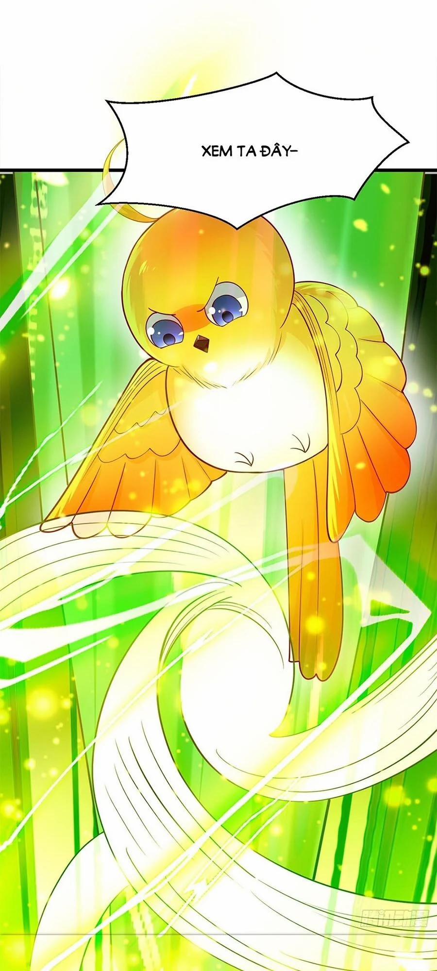 Ta Ở Hậu Cung Làm Lão Đại 10 trang 9