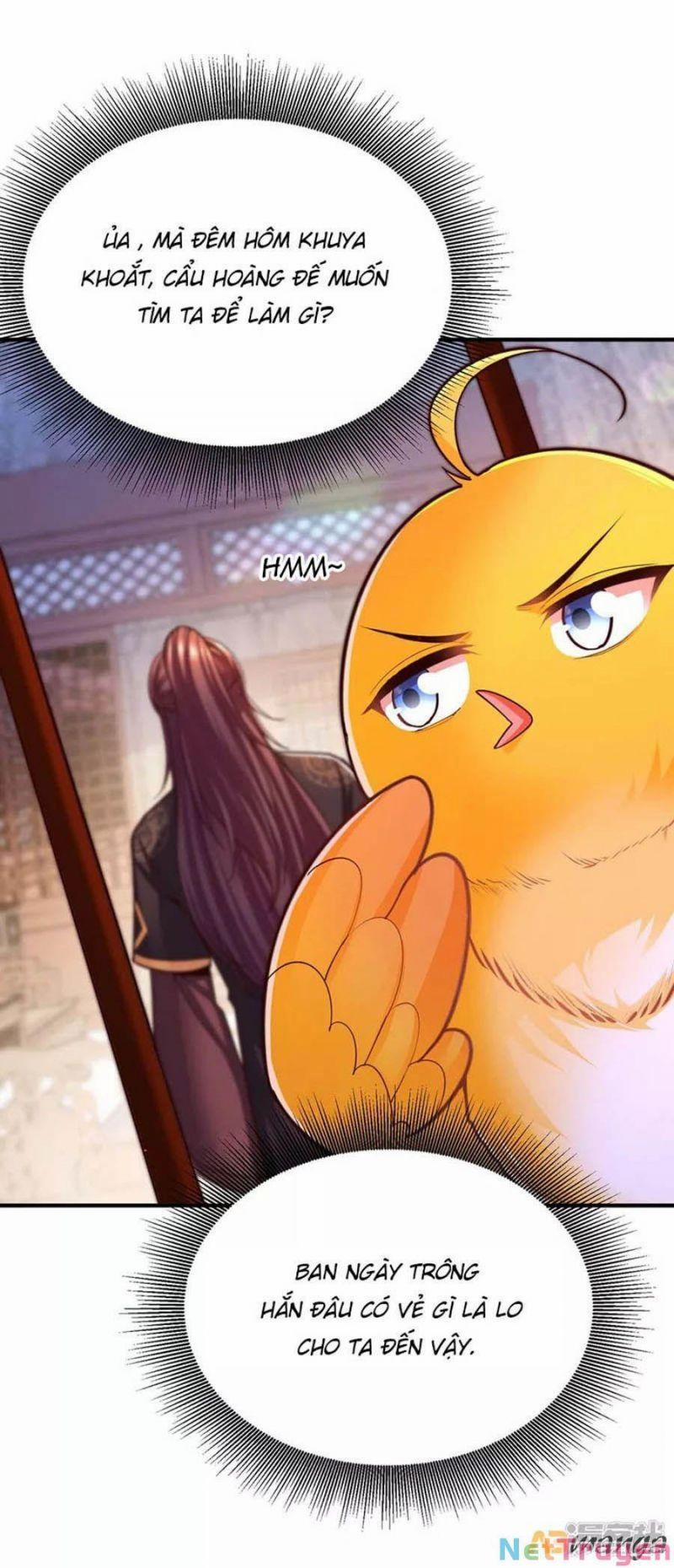 Ta Ở Hậu Cung Làm Lão Đại 101 trang 0