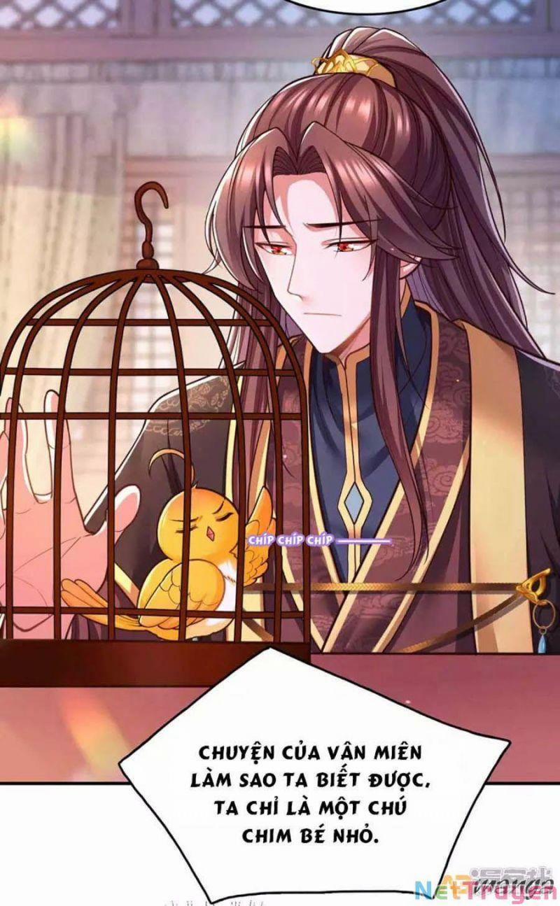 Ta Ở Hậu Cung Làm Lão Đại 101 trang 2