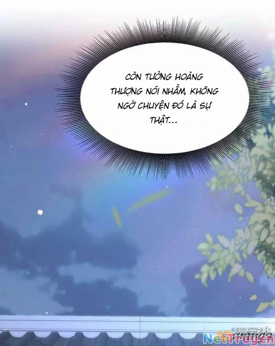 Ta Ở Hậu Cung Làm Lão Đại 102 trang 1