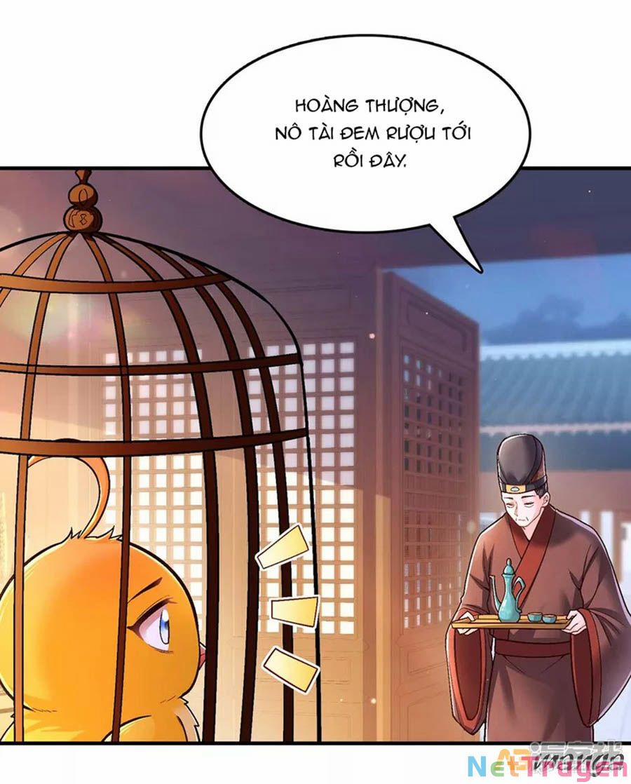 Ta Ở Hậu Cung Làm Lão Đại 104 trang 0
