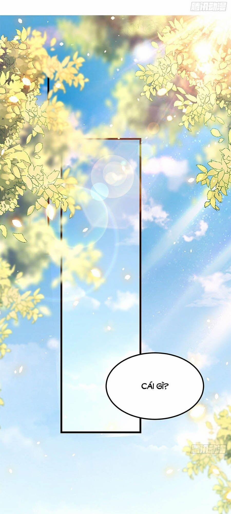 Ta Ở Hậu Cung Làm Lão Đại 11 trang 13