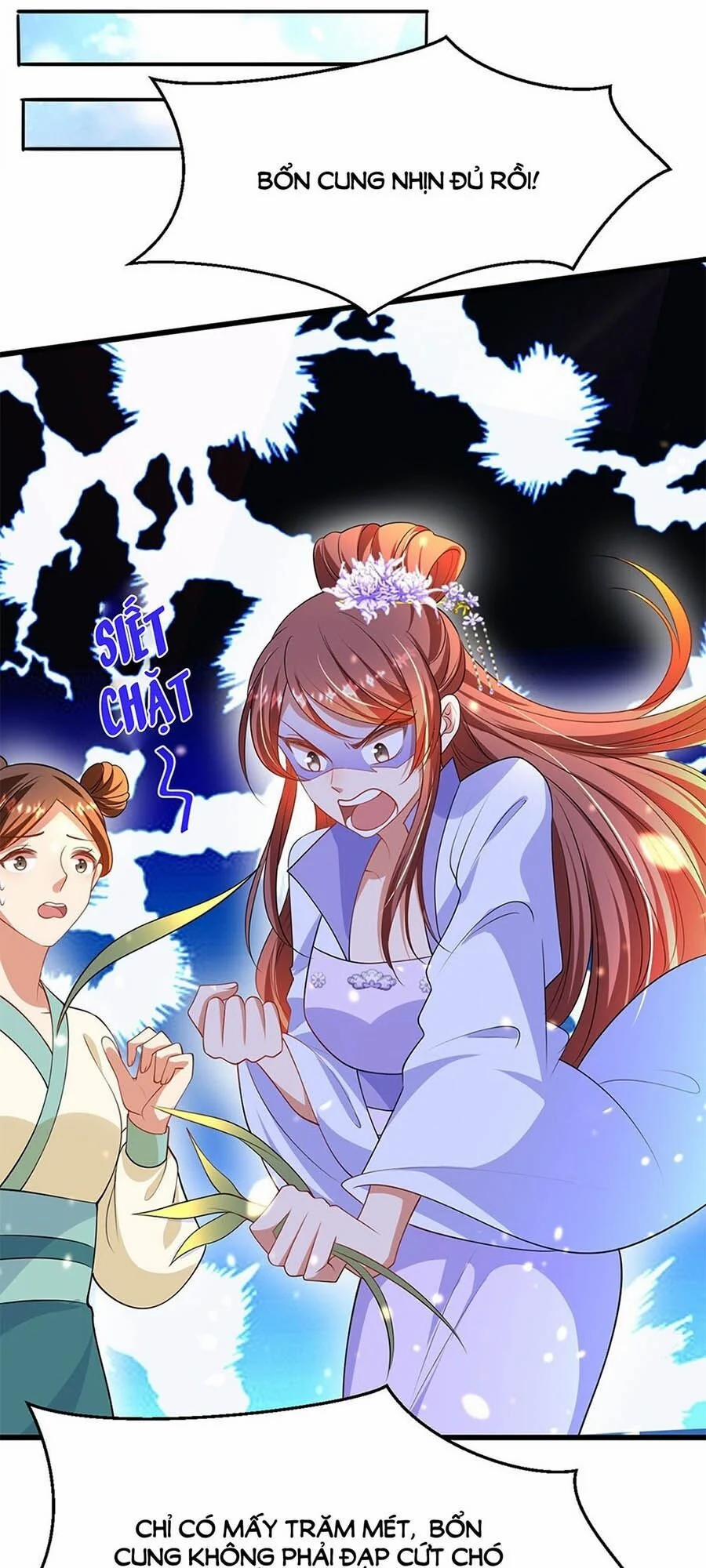 Ta Ở Hậu Cung Làm Lão Đại 11 trang 5