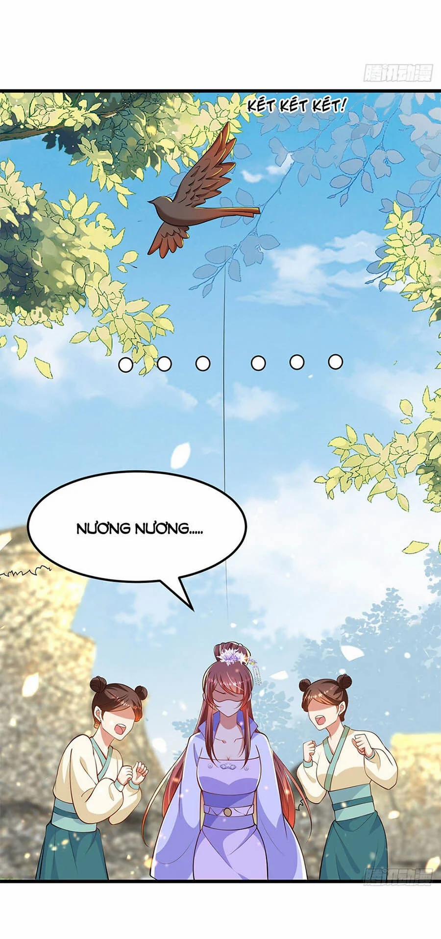 Ta Ở Hậu Cung Làm Lão Đại 11 trang 8