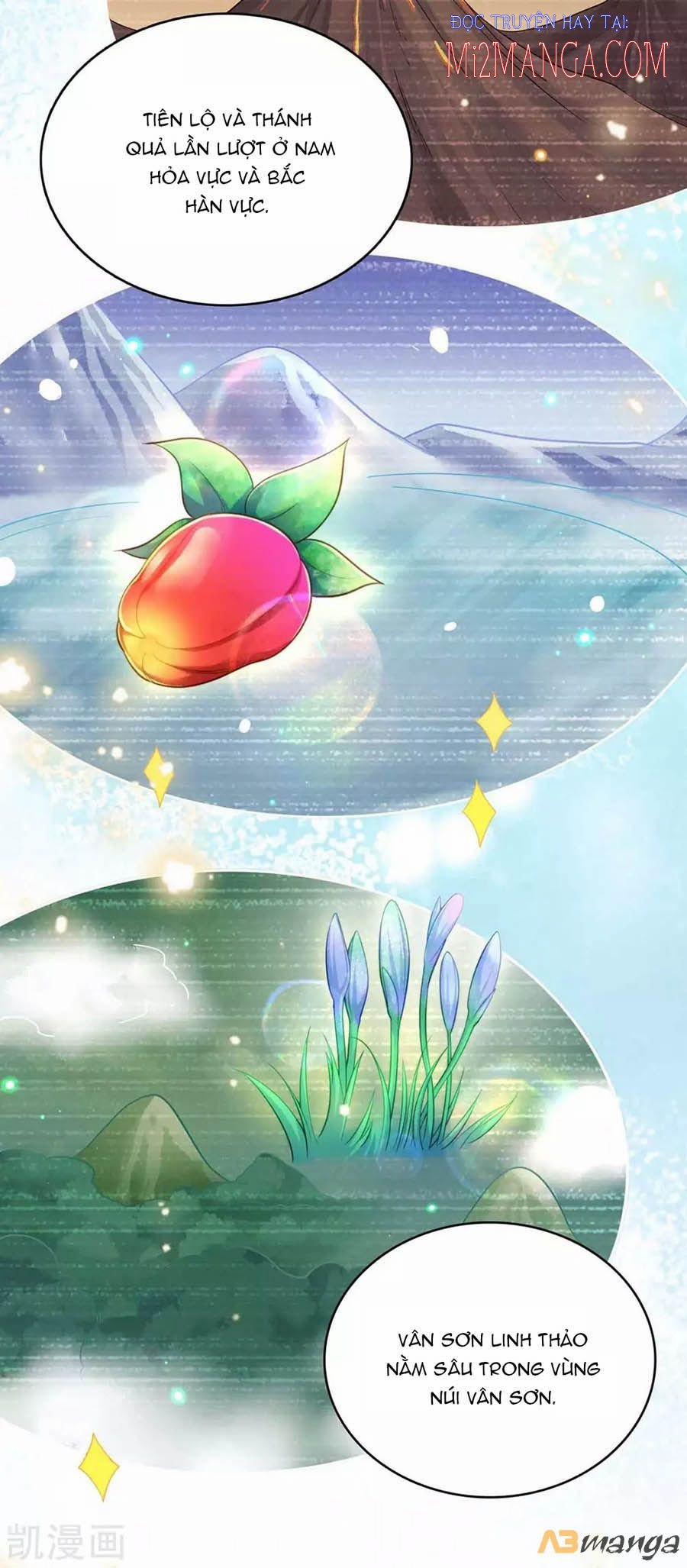 Ta Ở Hậu Cung Làm Lão Đại 114 trang 13