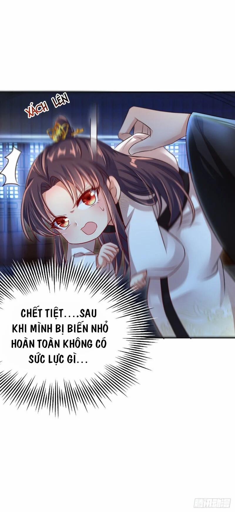 Ta Ở Hậu Cung Làm Lão Đại 29 trang 17