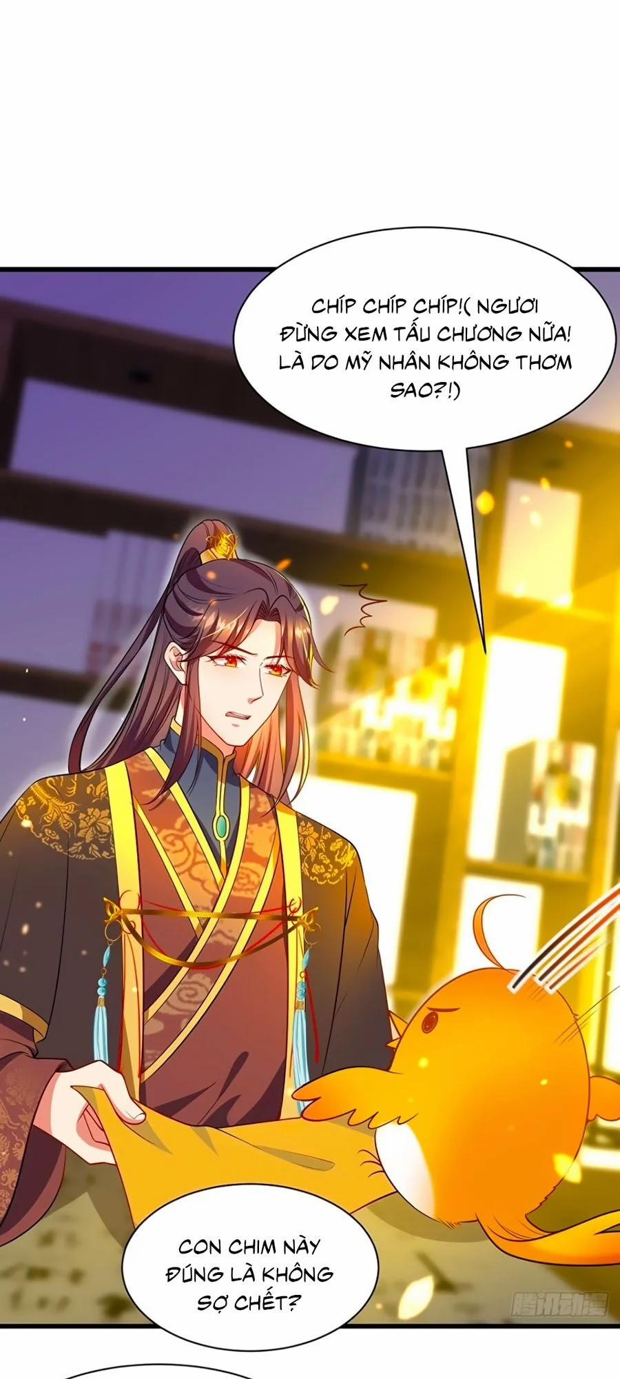 Ta Ở Hậu Cung Làm Lão Đại 3 trang 12