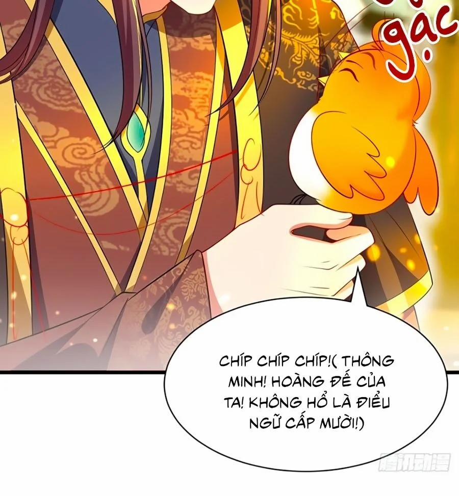 Ta Ở Hậu Cung Làm Lão Đại 3 trang 14