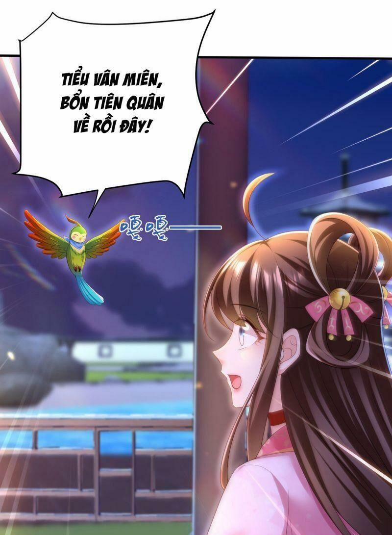 Ta Ở Hậu Cung Làm Lão Đại 37 trang 4