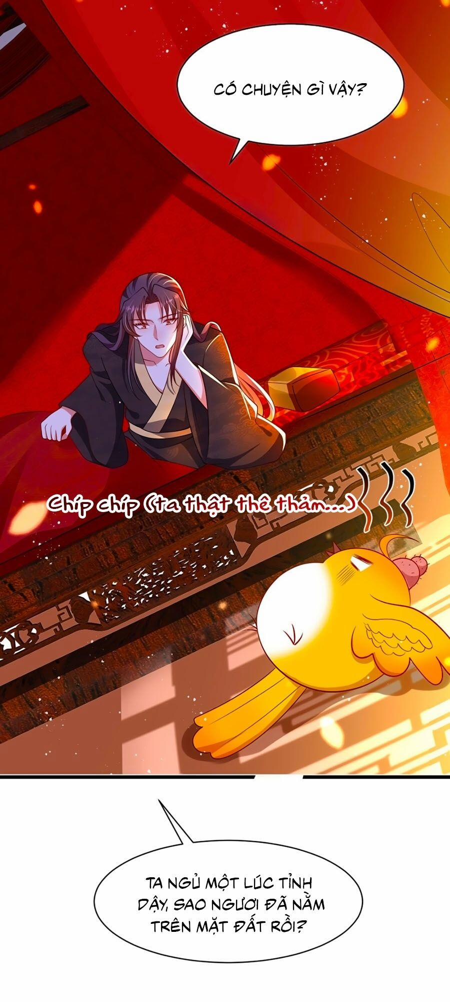 Ta Ở Hậu Cung Làm Lão Đại 4 trang 21