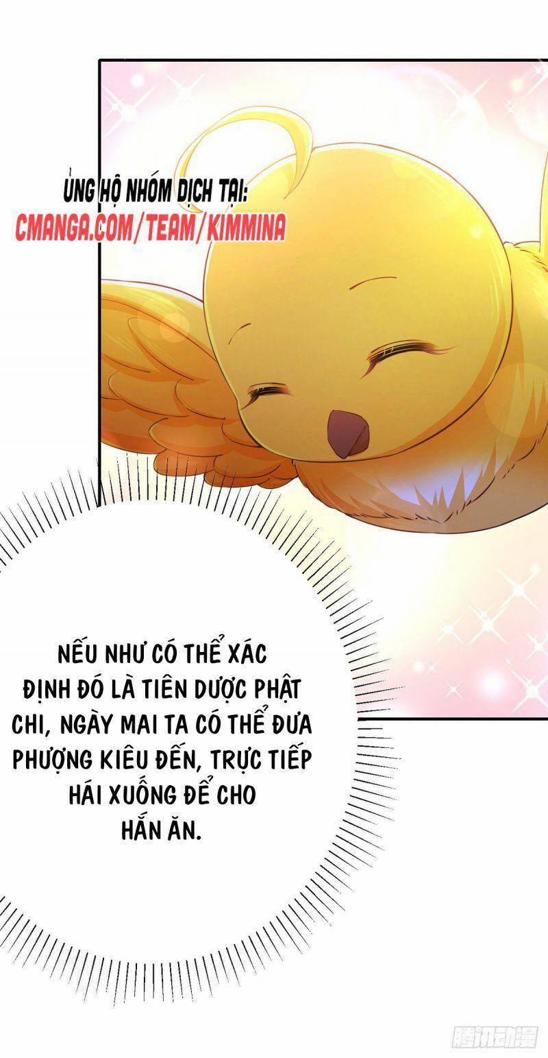 Ta Ở Hậu Cung Làm Lão Đại 49 trang 6