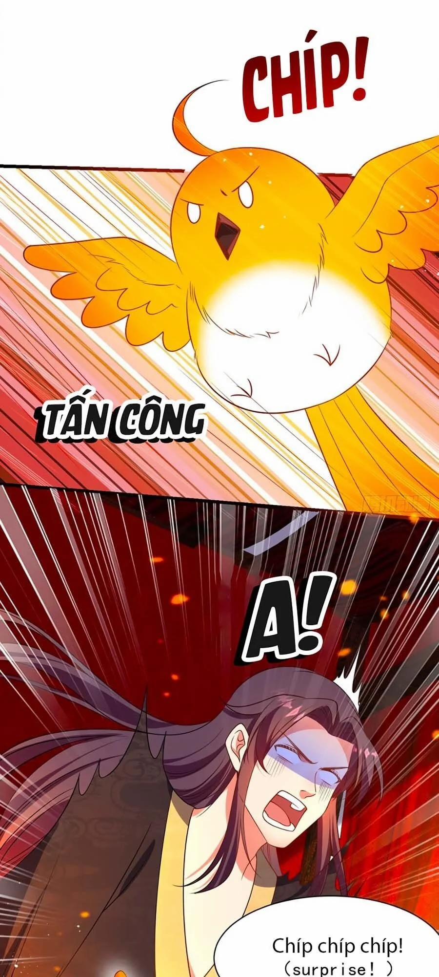 Ta Ở Hậu Cung Làm Lão Đại 5 trang 0