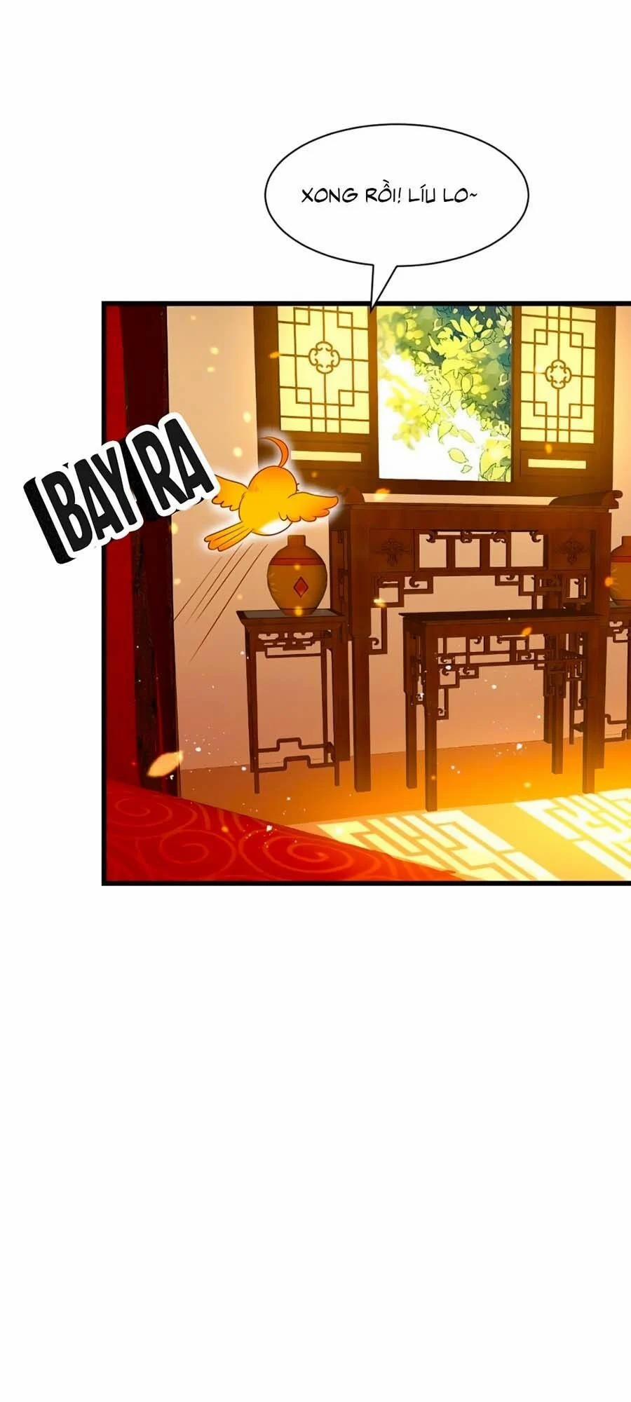 Ta Ở Hậu Cung Làm Lão Đại 5 trang 11