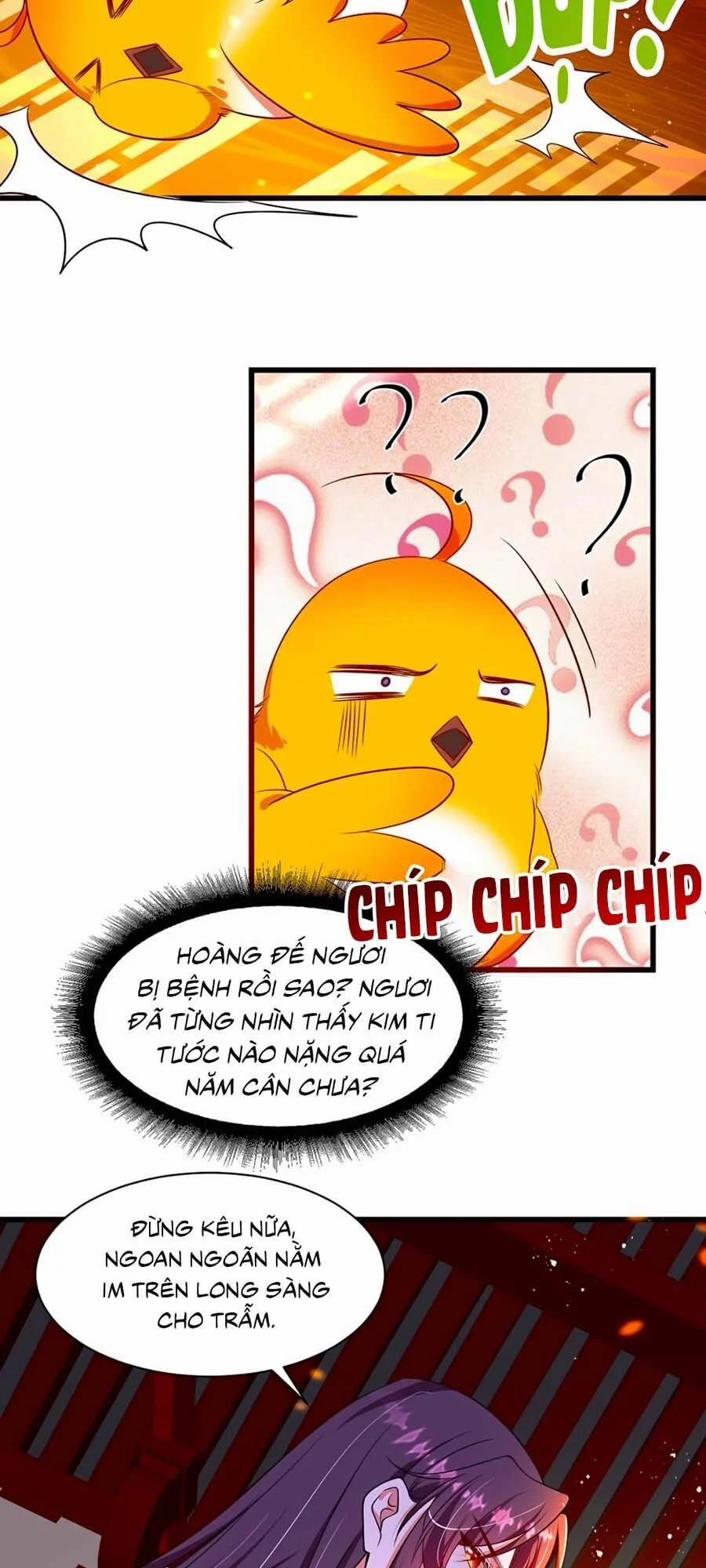 Ta Ở Hậu Cung Làm Lão Đại 5 trang 5