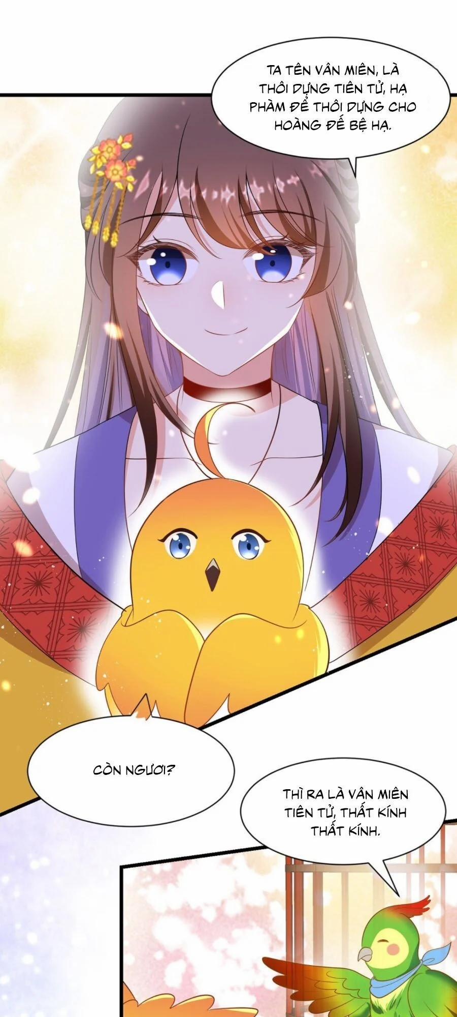 Ta Ở Hậu Cung Làm Lão Đại 7 trang 0