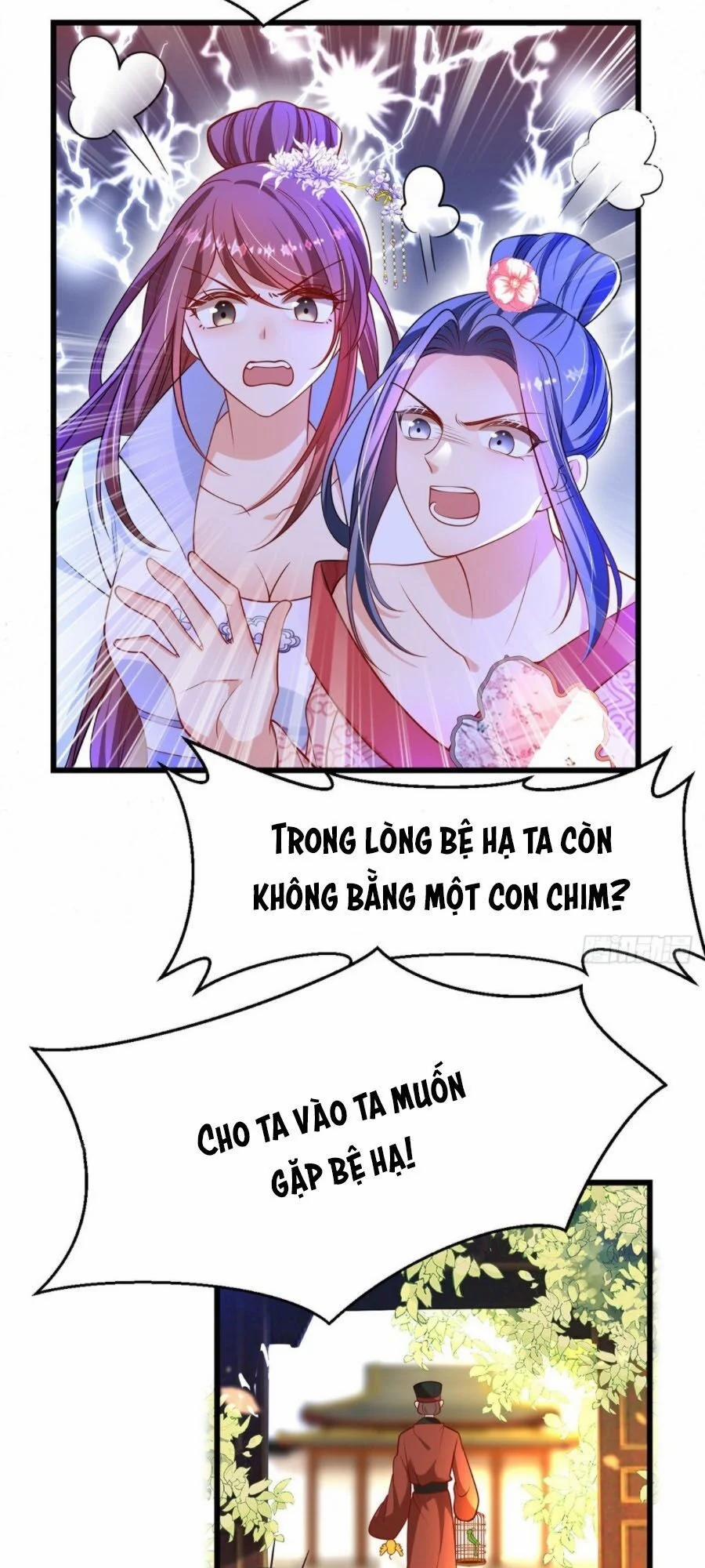 Ta Ở Hậu Cung Làm Lão Đại 7 trang 10