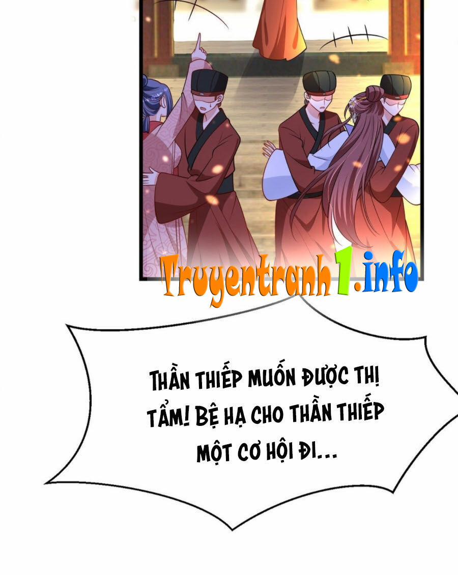 Ta Ở Hậu Cung Làm Lão Đại 7 trang 11