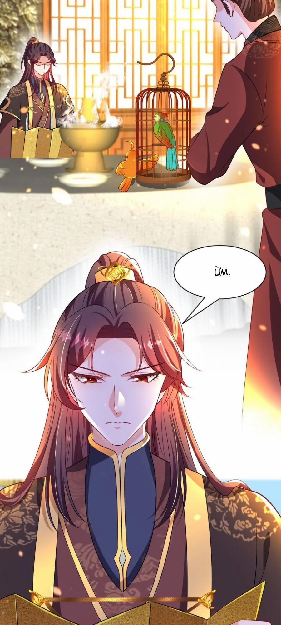 Ta Ở Hậu Cung Làm Lão Đại 7 trang 13