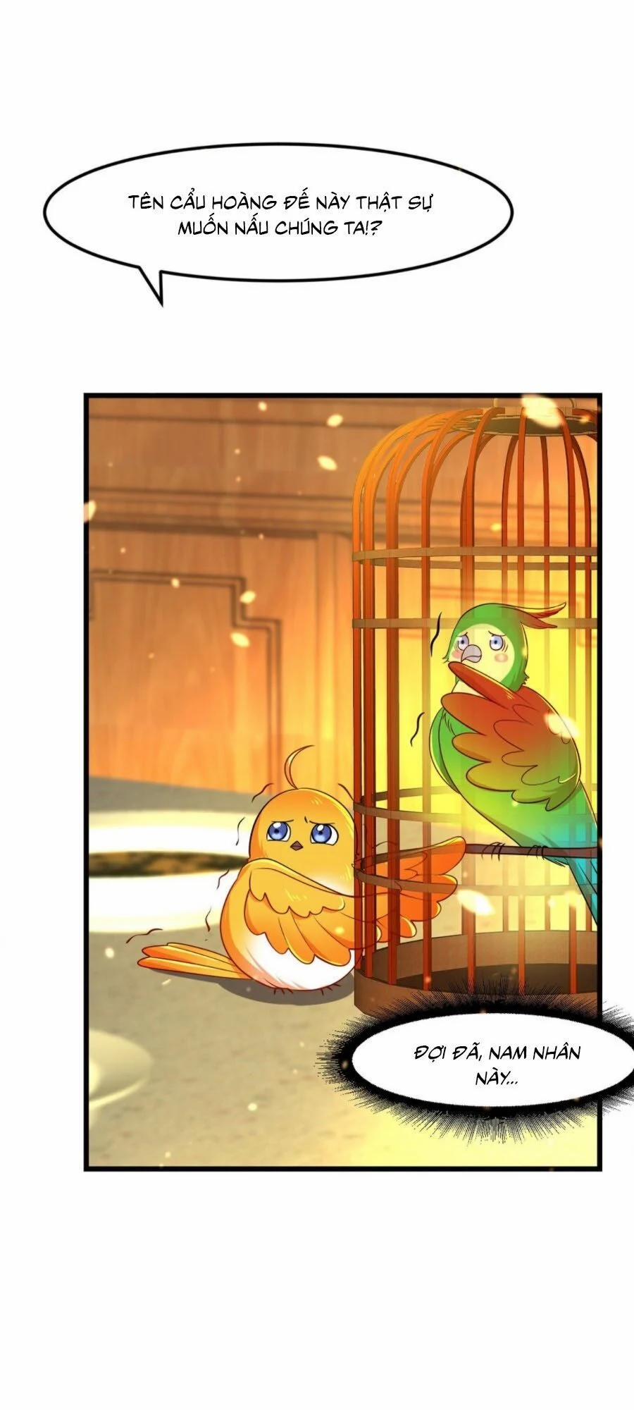 Ta Ở Hậu Cung Làm Lão Đại 7 trang 15