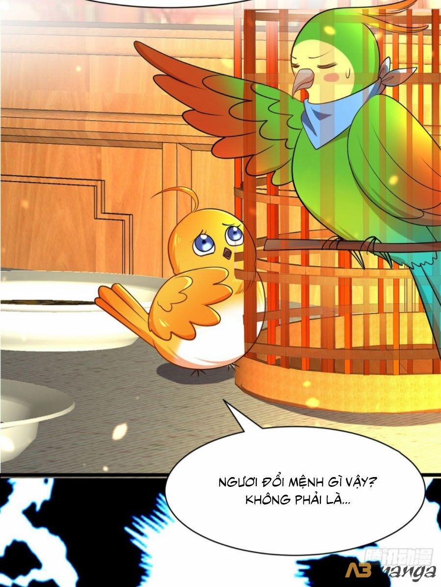 Ta Ở Hậu Cung Làm Lão Đại 7 trang 18