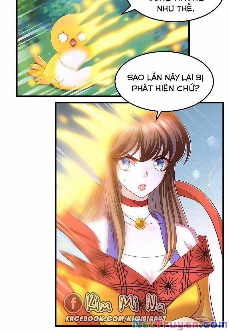 Ta Ở Hậu Cung Làm Lão Đại 73 trang 16