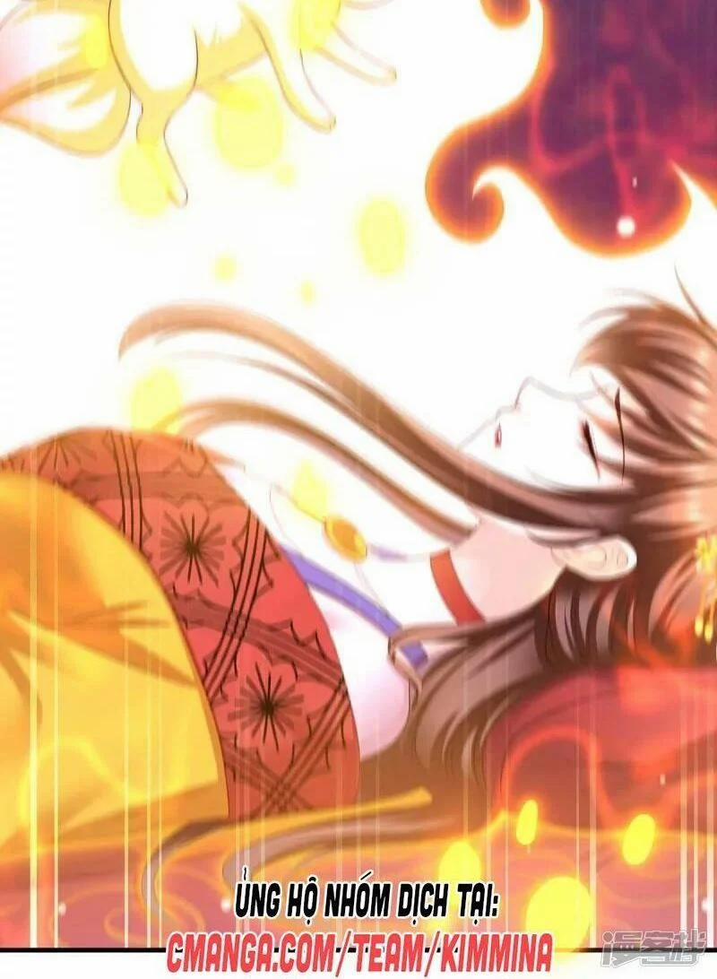 Ta Ở Hậu Cung Làm Lão Đại 87 trang 13