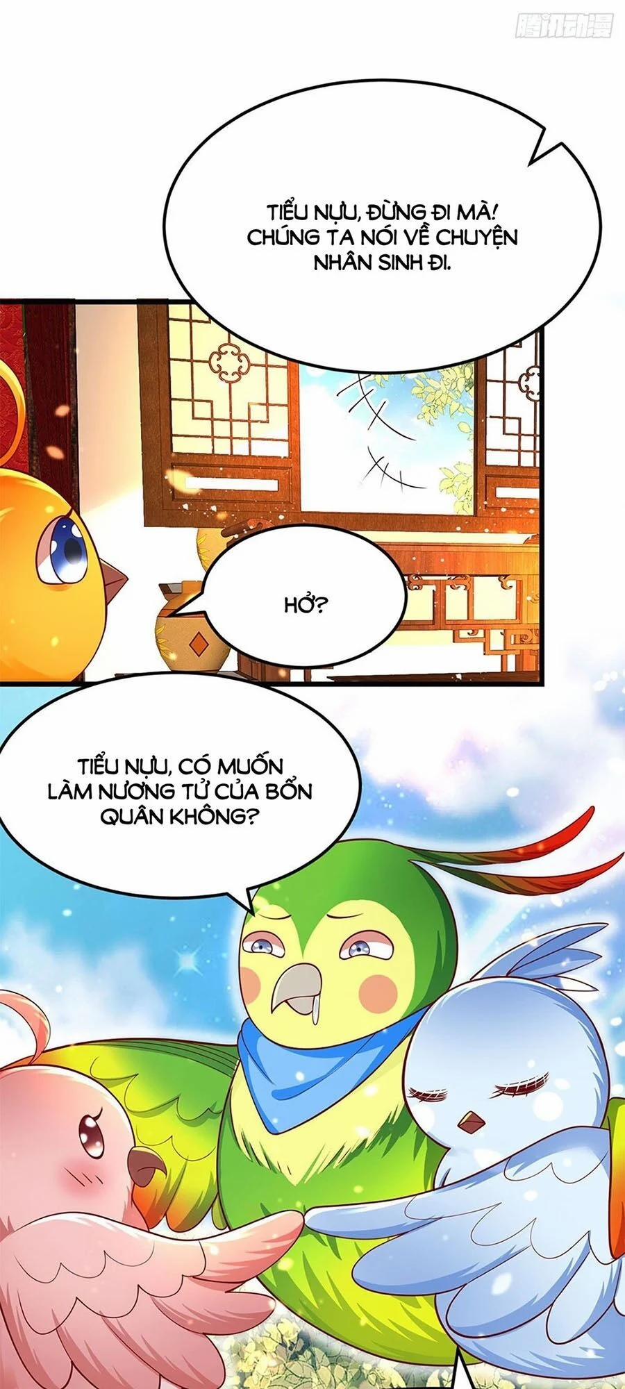 Ta Ở Hậu Cung Làm Lão Đại 9 trang 11