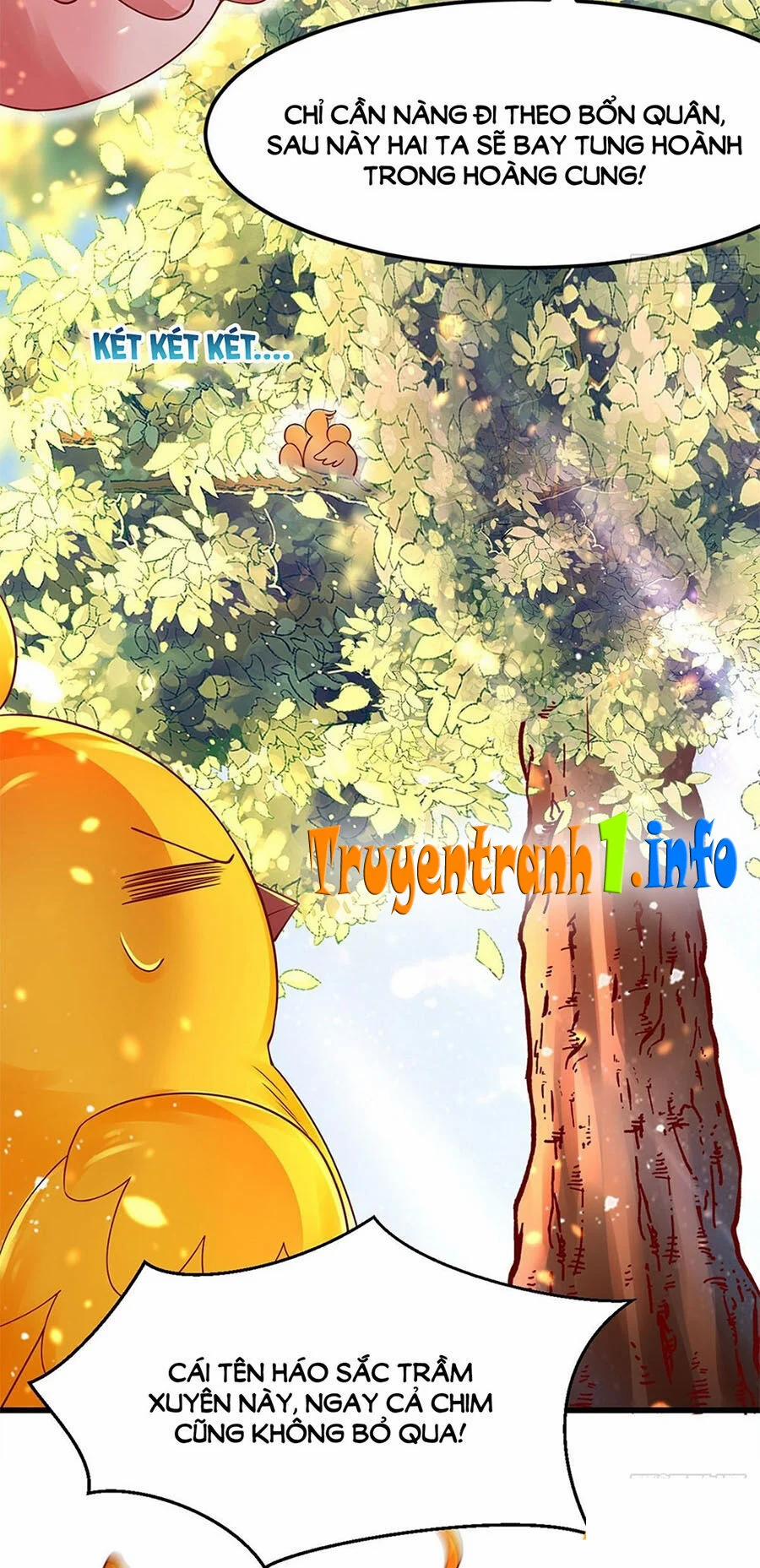 Ta Ở Hậu Cung Làm Lão Đại 9 trang 12