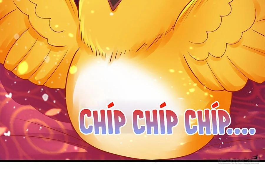 Ta Ở Hậu Cung Làm Lão Đại 9 trang 9