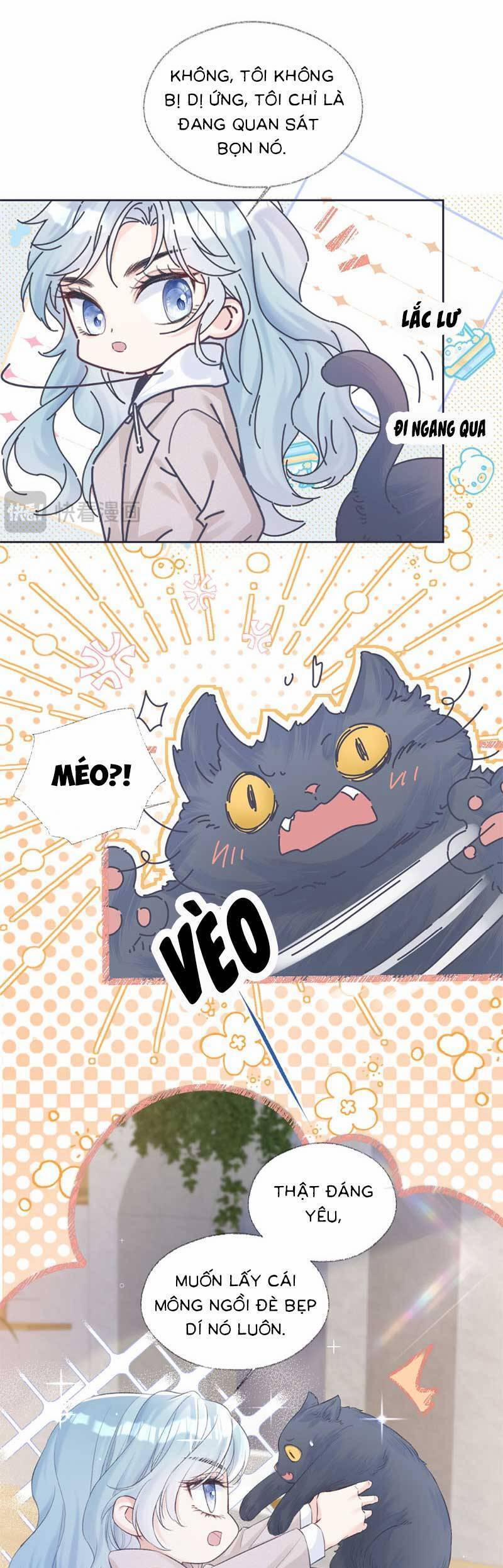 Ta Ở Hiện Đại Làm Đại Boss 70 trang 13