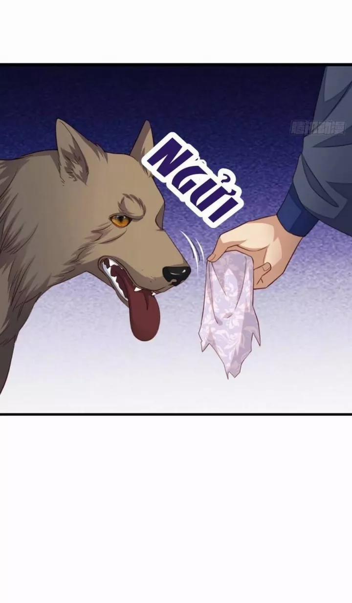 Ta Thuần Phục Bạo Quân 4 trang 17