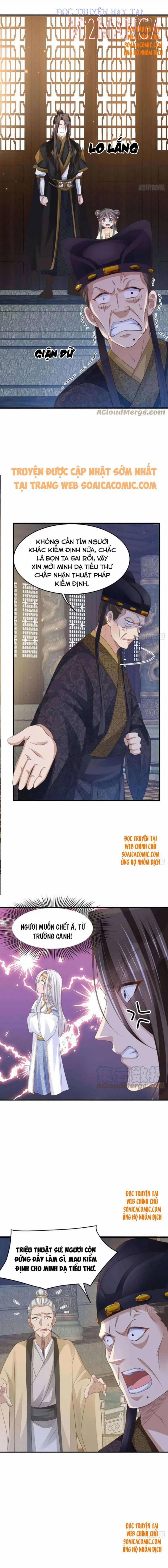 Ta Thuần Phục Bạo Vương 31.5 trang 4