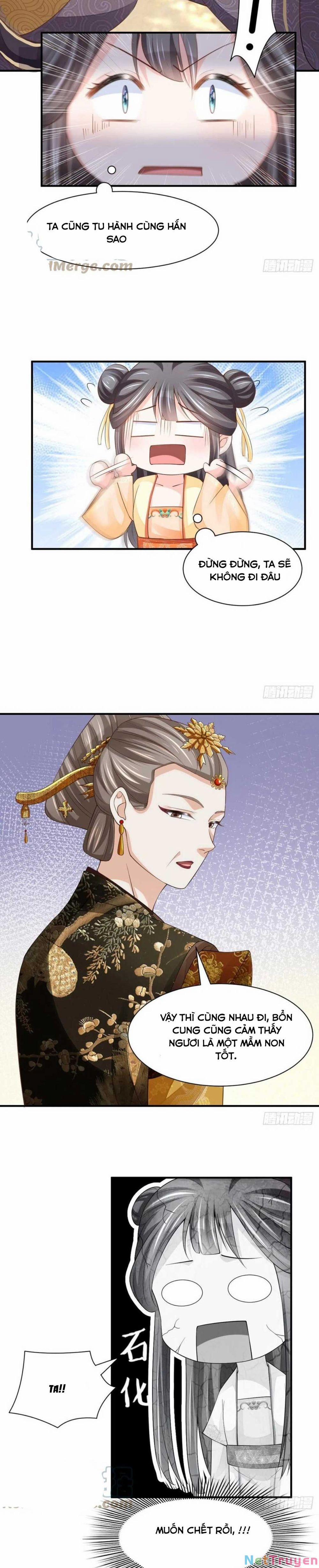 Ta Thuần Phục Bạo Vương 36 trang 13