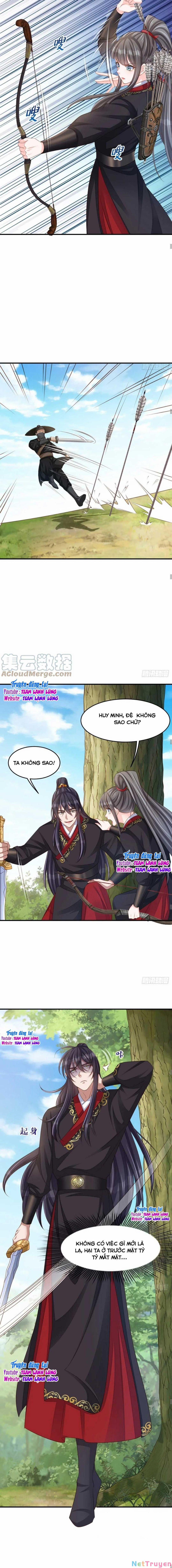 Ta Thuần Phục Bạo Vương 40 trang 11