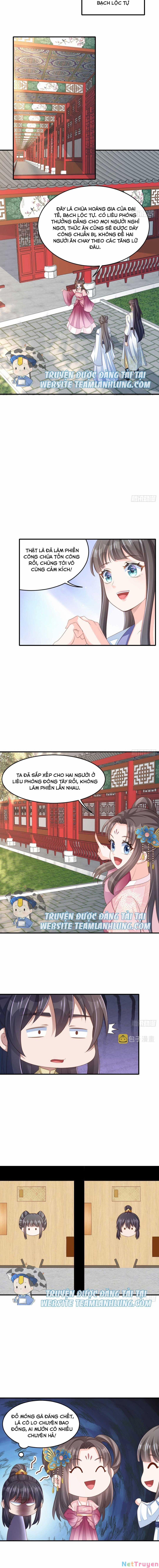 Ta Thuần Phục Bạo Vương 49 trang 11