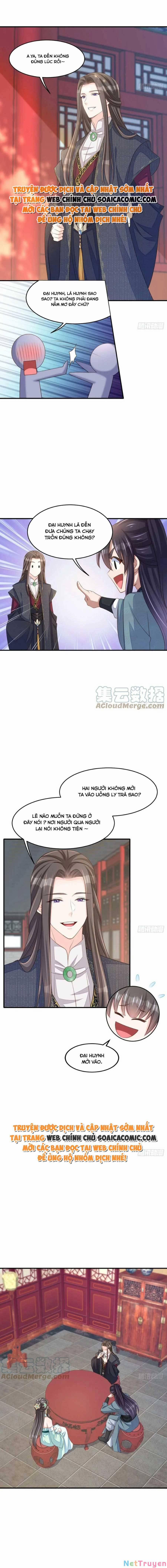 Ta Thuần Phục Bạo Vương 65 trang 2