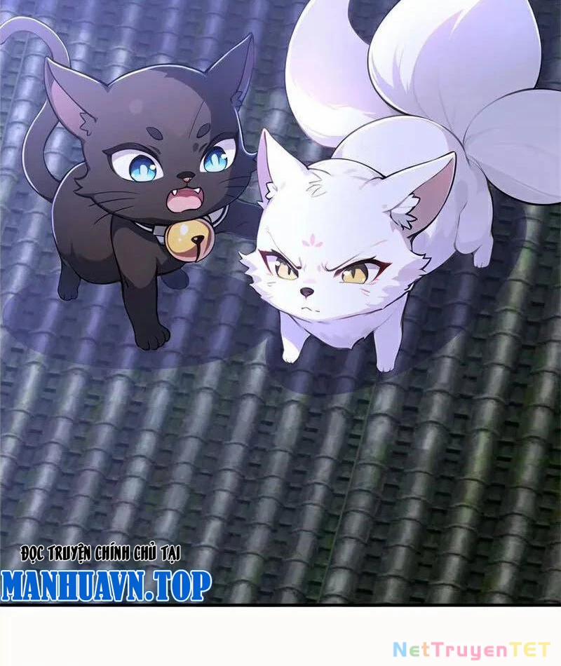 Ta Thực Sự Không Muốn Làm Thần Tiên 126 trang 3