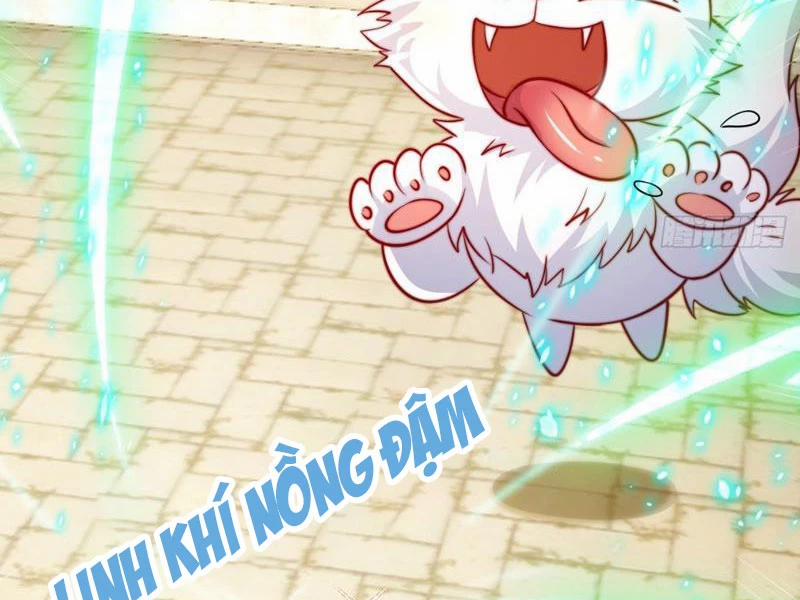 Ta Thực Sự Không Muốn Làm Thần Tiên 17 trang 12