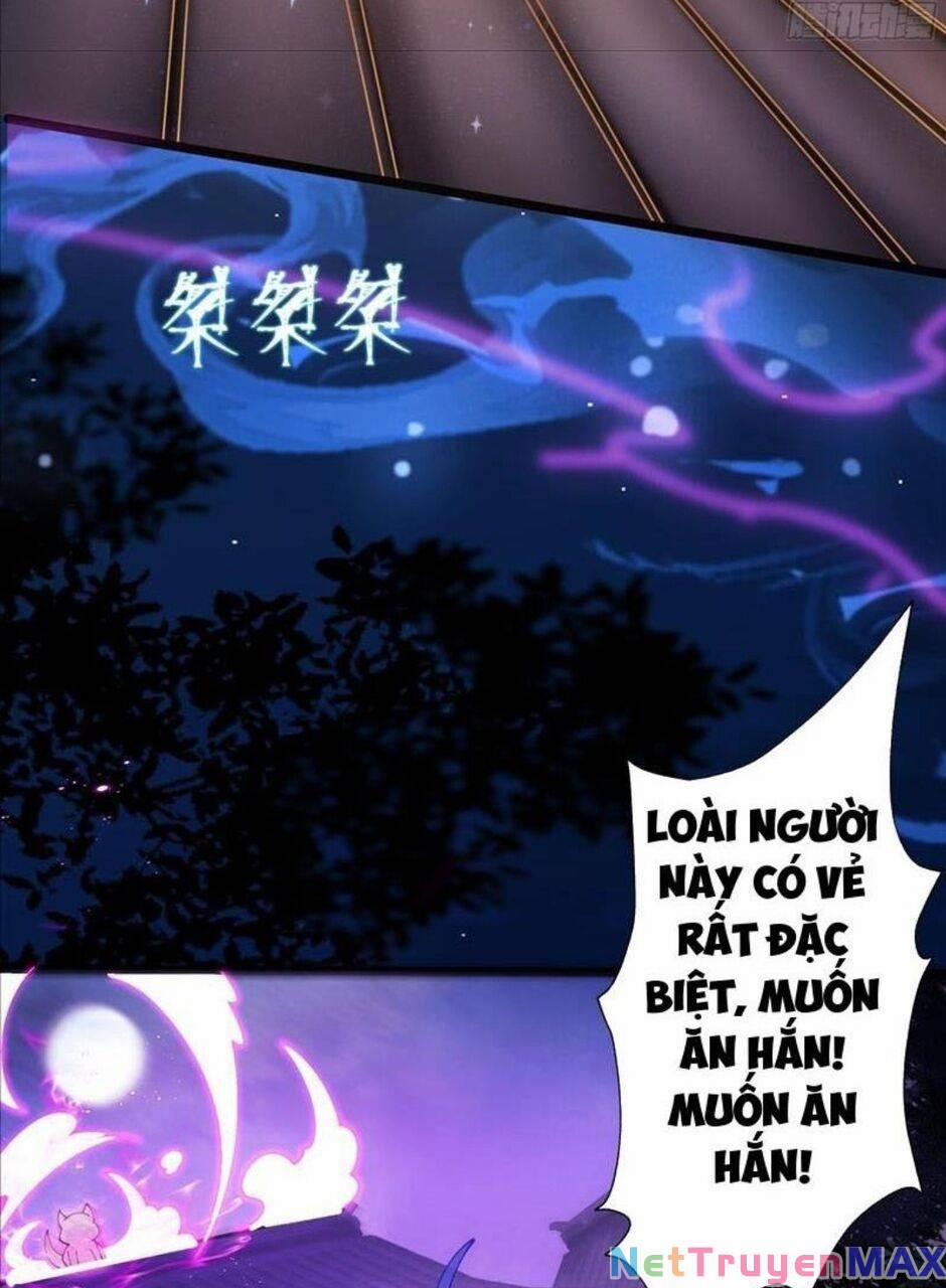 Ta Thực Sự Không Muốn Làm Thần Tiên 6 trang 11