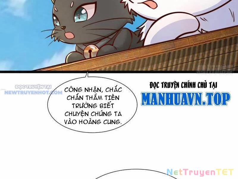 Ta Thực Sự Không Muốn Làm Thần Tiên 77 trang 8
