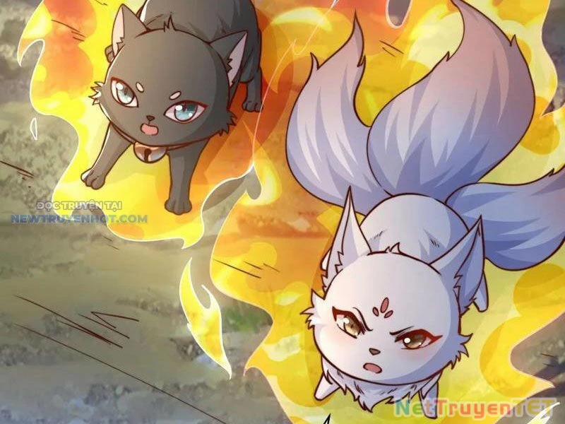 Ta Thực Sự Không Muốn Làm Thần Tiên 84 trang 7