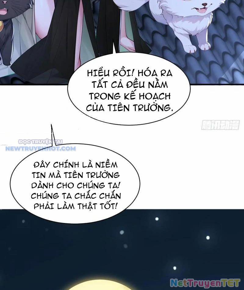 Ta Thực Sự Không Muốn Làm Thần Tiên 86 trang 48