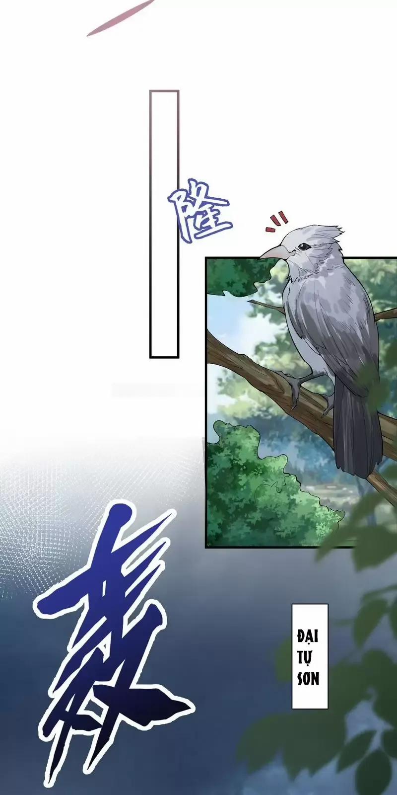 Ta Vô Địch Lúc Nào 255 trang 33