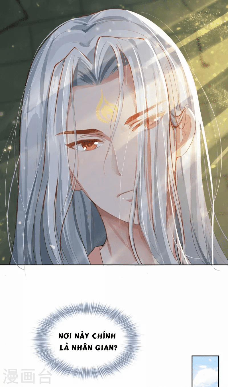 Ta Vốn Là Mèo 1.5 trang 19