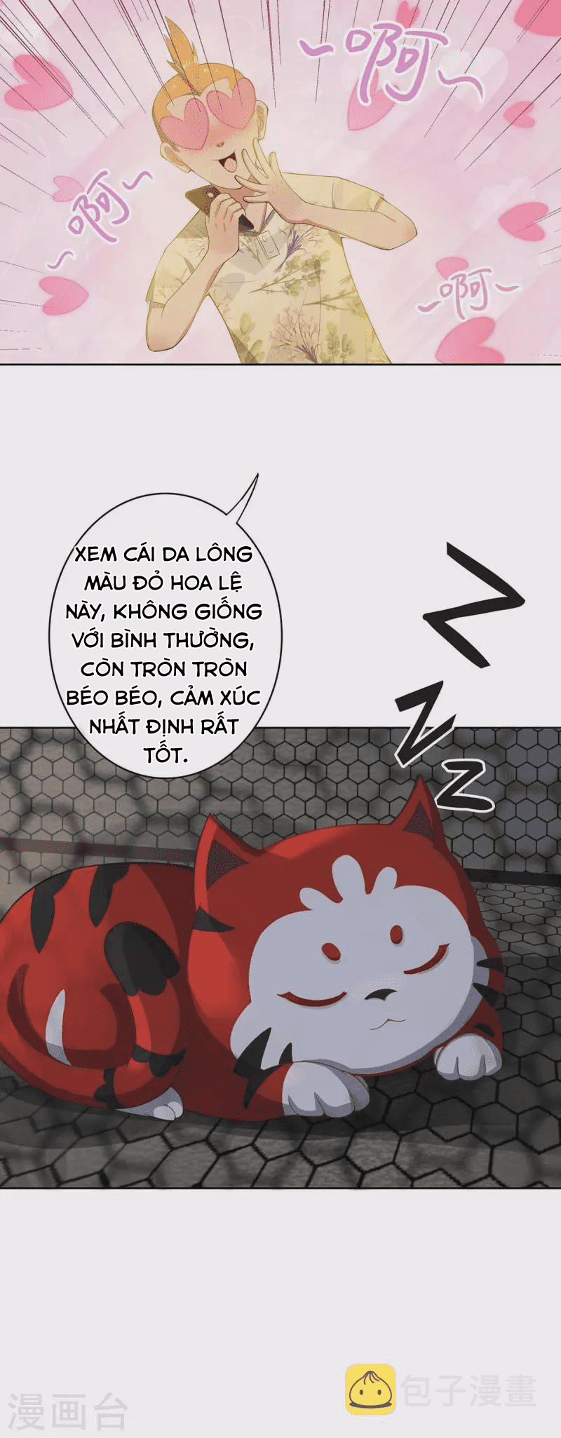 Ta Vốn Là Mèo 1.5 trang 6